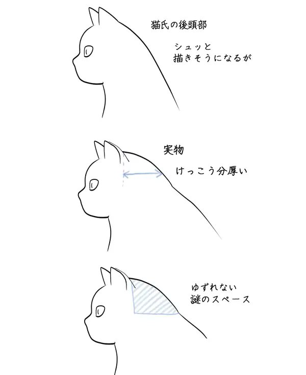 【謎】「何が入ってんの?」 猫の後頭部にある"譲れない謎のスペース"に共感の声続々「幸せが詰まってる」「かわいさ?」
https://t.co/xC87r5eqwO

猫をじっくり観察した人ならわかる"謎のスペース"。「吸いしろ」「コックピット」など様々な説が 