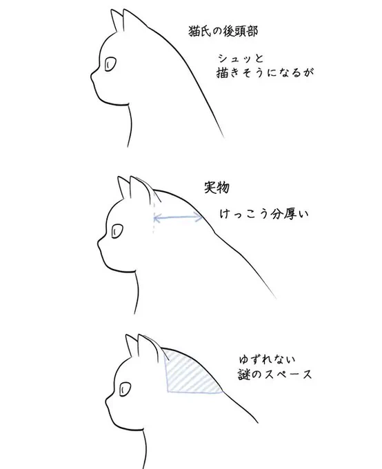 【謎】「何が入ってんの?」 猫の後頭部にある"譲れない謎のスペース"に共感の声続々「幸せが詰まってる」「かわいさ?」
https://t.co/xC87r5eqwO

猫をじっくり観察した人ならわかる"謎のスペース"。「吸いしろ」「コックピット」など様々な説が 