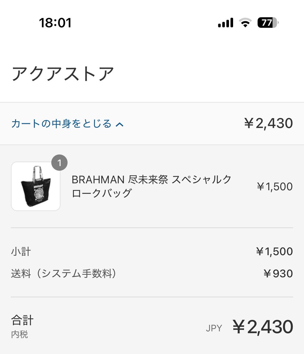 BRAHMAN尽未来祭 クロークバッグ買えた！！ これに防災グッズを入れて