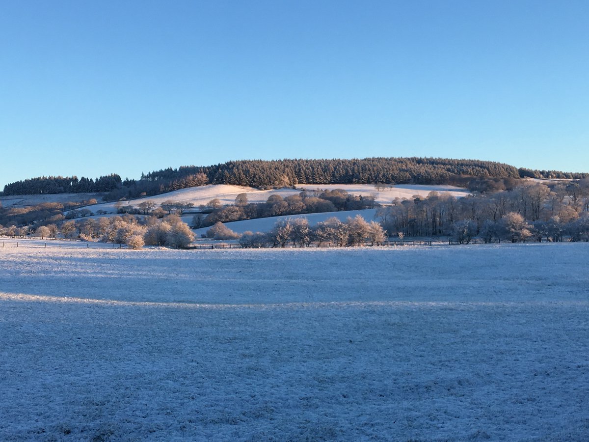 Dewlay Cheese tweet media