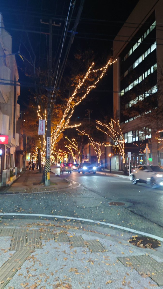 田舎者には眩しい🤩