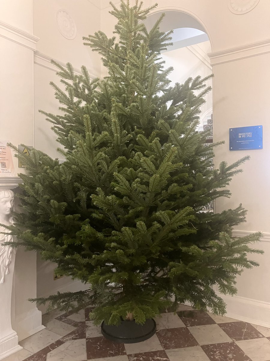 Association Anaesthetists Steph she/her tweet media