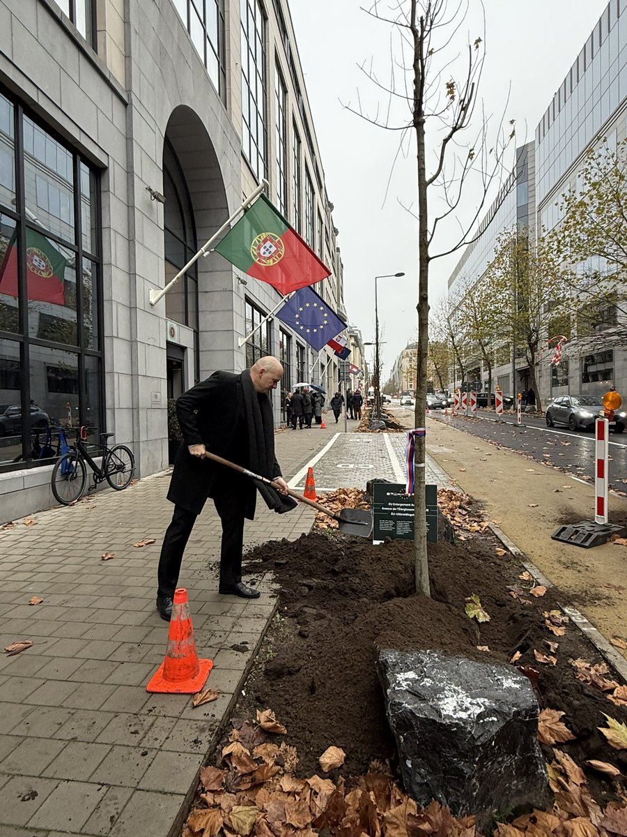 Na Avenue Kortenberg v Bruselu 🇧🇪dnes proběhlo společné sázení stromů jako silný symbol toho, že politika rozšíření 🇪🇺 zůstává klíčovým nástrojem pro mírovou, bezpečnou, stabilní a prosperující Evropu.

Země, které se k 🇪🇺 připojily v roce 2004 🇨🇿🇸🇰🇵🇱🇭🇺🇸🇮🇱🇹🇱🇻🇪🇪🇨🇾&amp;🇲🇹 společně