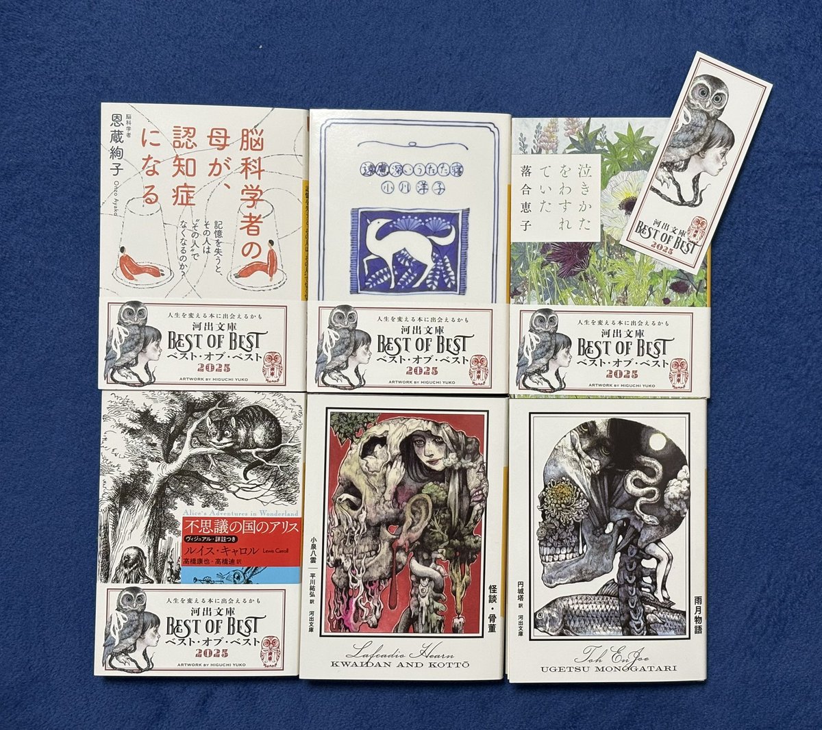 河出文庫BEST OF BEST2025フェアで選んだ6冊。ヒグチユウコさんの栞も素敵だ。“人生を変える本に出会えるかも”しれないって、こんな企画があるから巡り逢える本がある。さて、どれから読もうかな。