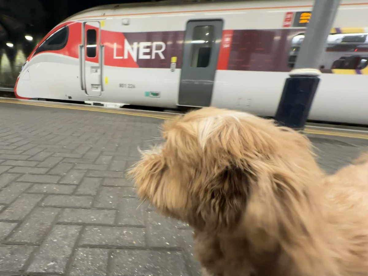 Taking the dog sightseeing <a href="/LNER/">London North Eastern Railway</a>