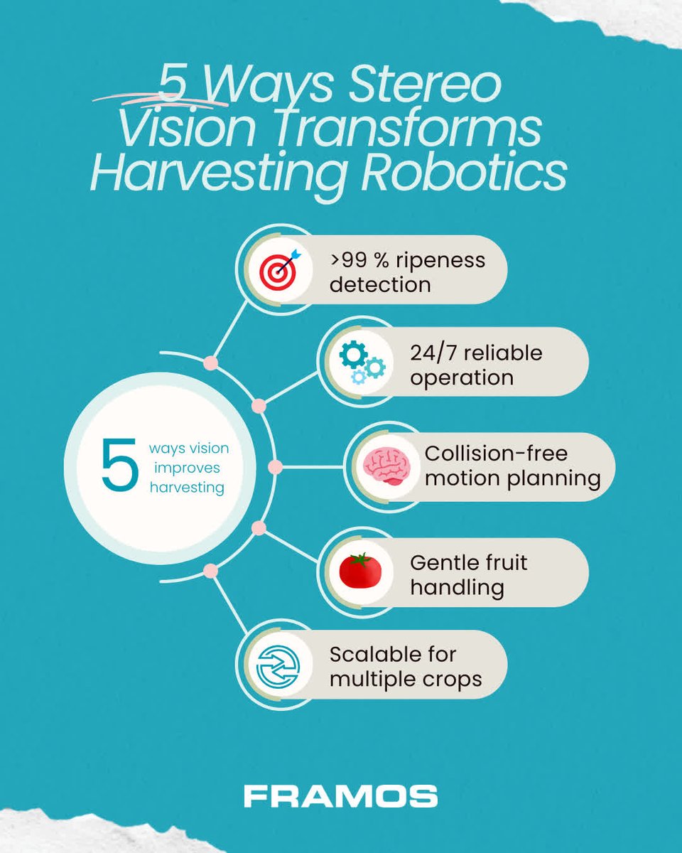 framosimaging's tweet image. 5 ways stereo vision transforms harvesting robotics. 🌾

🔗 Explore how Four Growers and FRAMOS achieved it: bit.ly/4oafYX6?utm_ca… 

#FRAMOS #FourGrowers #agriculture #harvesting