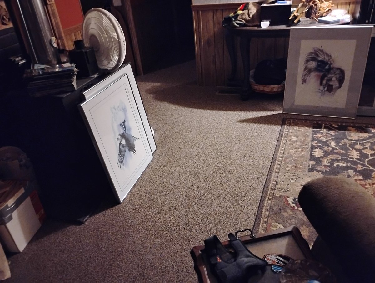 TtownRay's tweet photo. I bought four pen and inks at a benefit auction and I have no wall space for them. But it was for a good cause https://t.co/DXL7OpDTEp