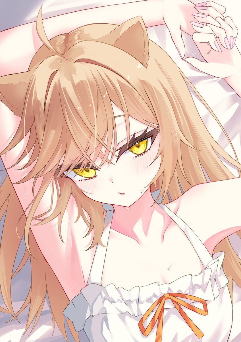 るるどらいおん🦁