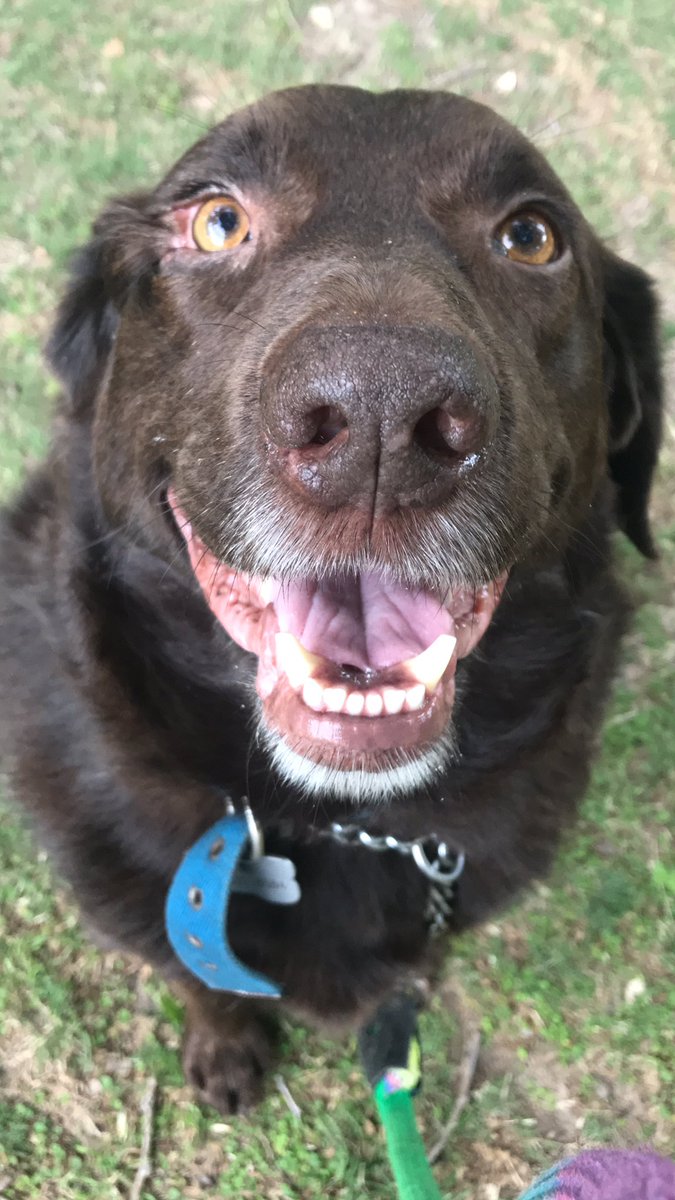 MaggeDelbene's tweet image. Buen día! #Darwin