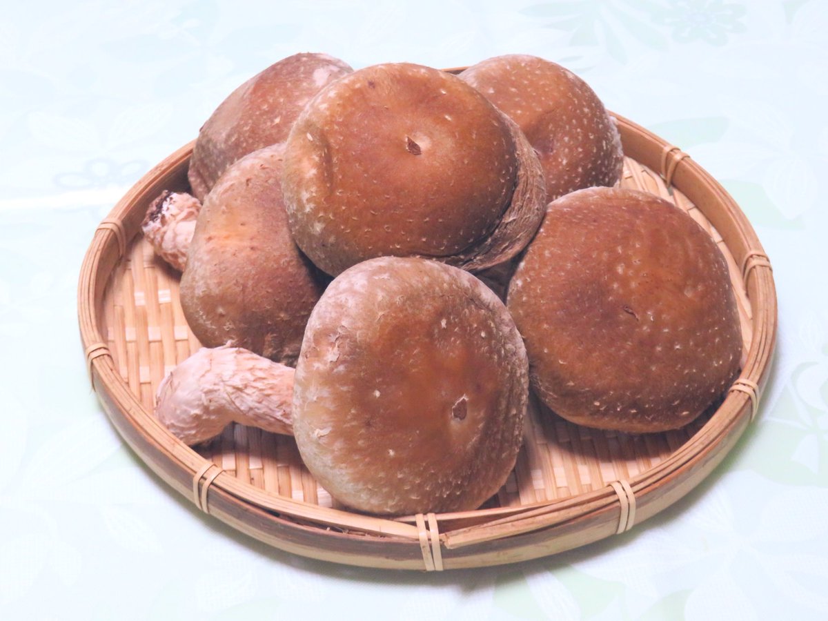 k_yokomama's tweet image. 理恵子さん〜「ペプチドリップpresents山瀬さんちの りっこ食堂」🍳
【シイタケの肉詰め】作りました🎵鶏ミンチ・刻んだ椎茸の軸・蓮根・
柿を捏ねて椎茸に詰め、両面焼いて甘辛く味付け✨肉厚の椎茸の旨味
たっぷり👍めっちゃ美味しい😍免疫UPで風邪予防！最高です‼️👏
@youdoki_yab  @yab_beep