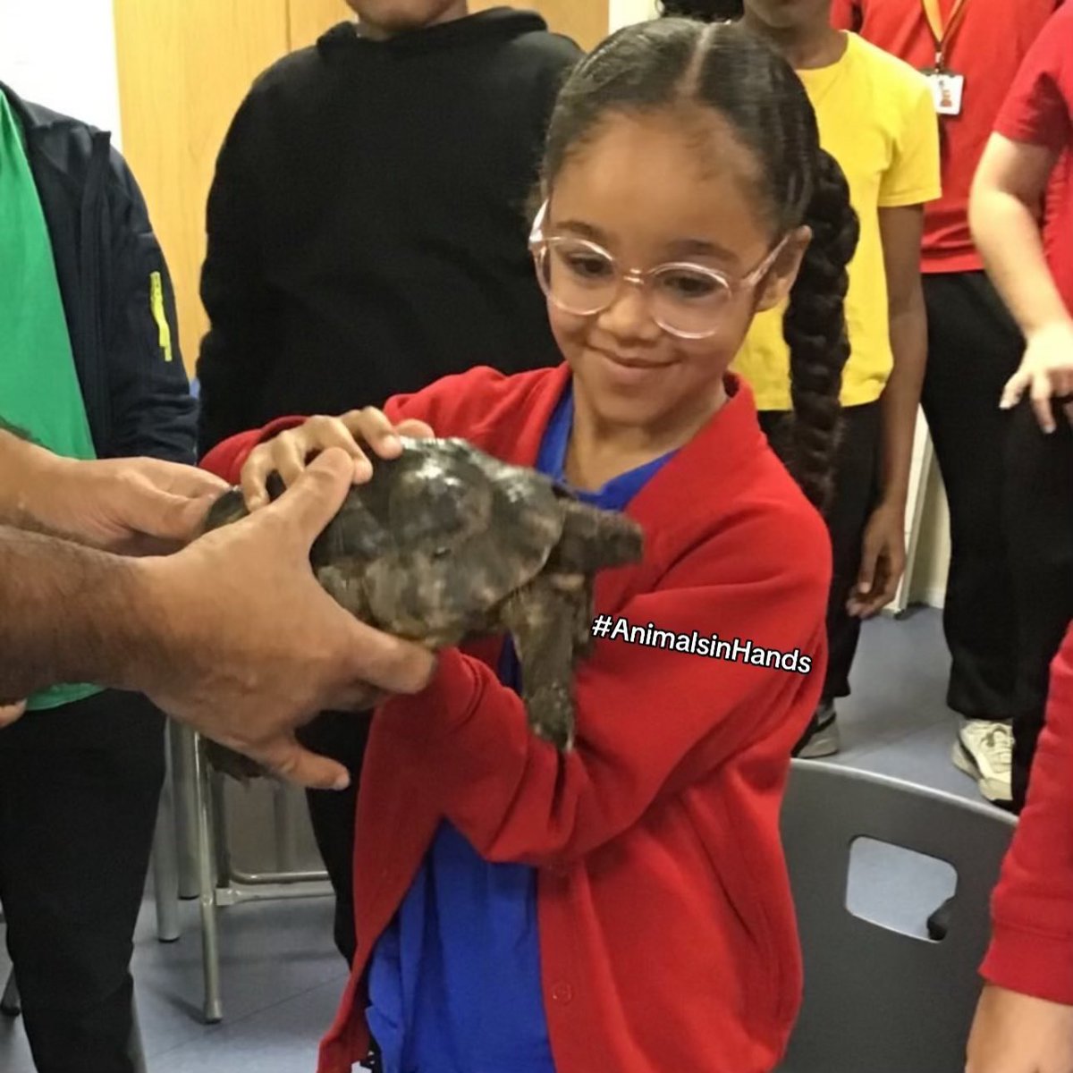 All our animal  handling  workshops are based around the National Curriculum. 

 #AnimalManUK  #animalbirthdayparty #animalsinhandsuk #animalmanwestmidlands #animalencounteruk  #birthdaypartyideas
#animalsinhandsuk  #wildscience   #exoticanimalrescue animalsinhands.com