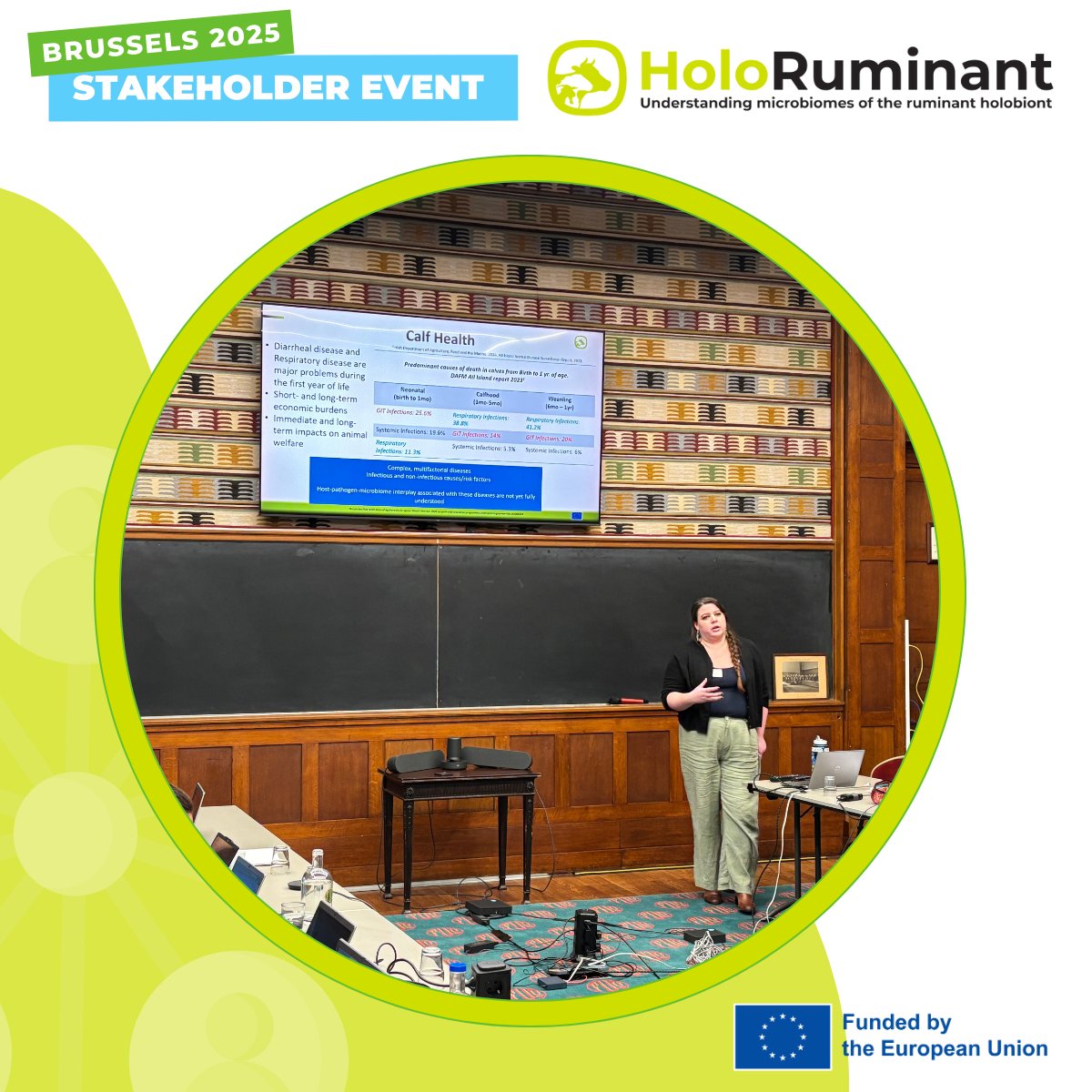 holoruminant's tweet photo. HoloRuminant gathered stakeholders in Brussels 🇪🇺 for presentations on calf health &amp; the microbiota, metabolic triad challenges, and methane emissions. We closed with a workshop on priorities, adoption pathways &amp; next actions. Thank you all! https://t.co/fehvfhKtZd