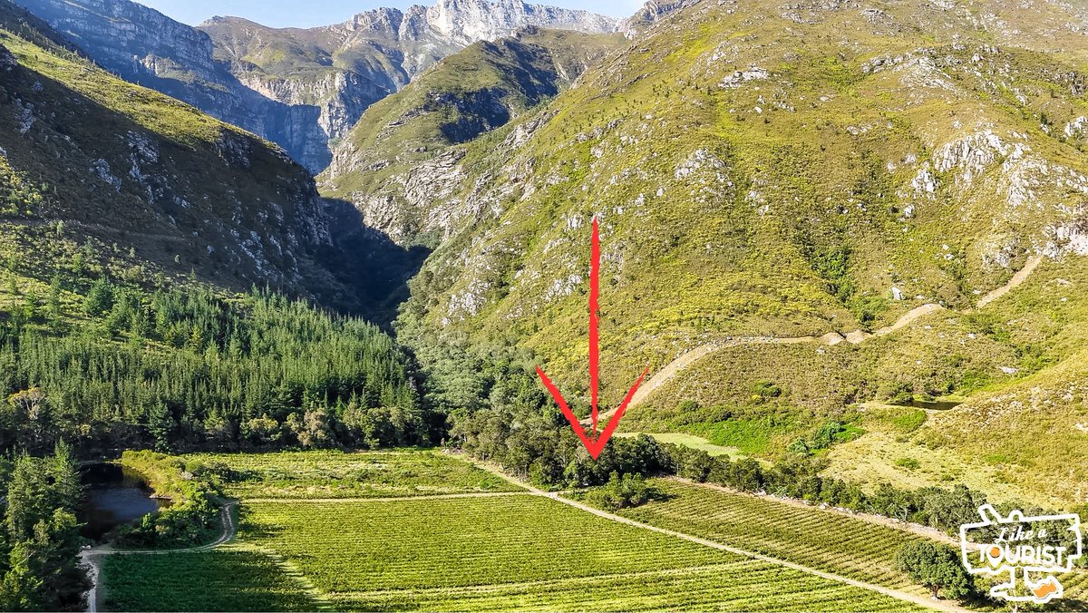 MarkSham's tweet image. Last week we discovered an outrageously beautiful glass cabin in Swellendam hiding in the trees with the Langeberg mountains as the most insane backdrop. These pictures will show you what I mean ❤

Whenever you feel the need to slow down, it's best to spend time in places that…