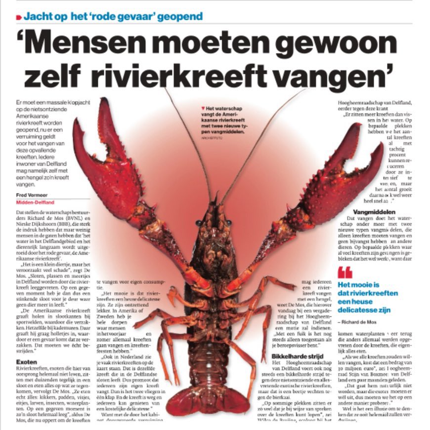 RicharddeMos's tweet image. 💦 Bij @hhdelfland present voor de begroting van het #waterschap. Lijn: Het geld inzetten waar het hoort: goede dijken, gemalen, zoetwatervoorziening en zuivering. Mét ondernemers en glastuinbouw als partners, niet als zondebok. En natuurlijk het bestrijden van het rode gevaar!