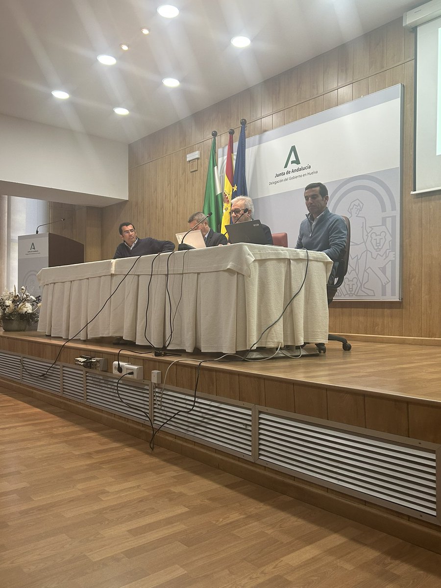 Juanma Pérez Alarcón tweet media