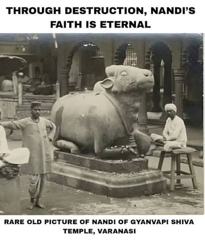biharigurl's tweet image. If you ever feel tired of waiting,
remember Nandi of Gyanvapi.... 
waiting patiently for centuries for his Lord Shiva.