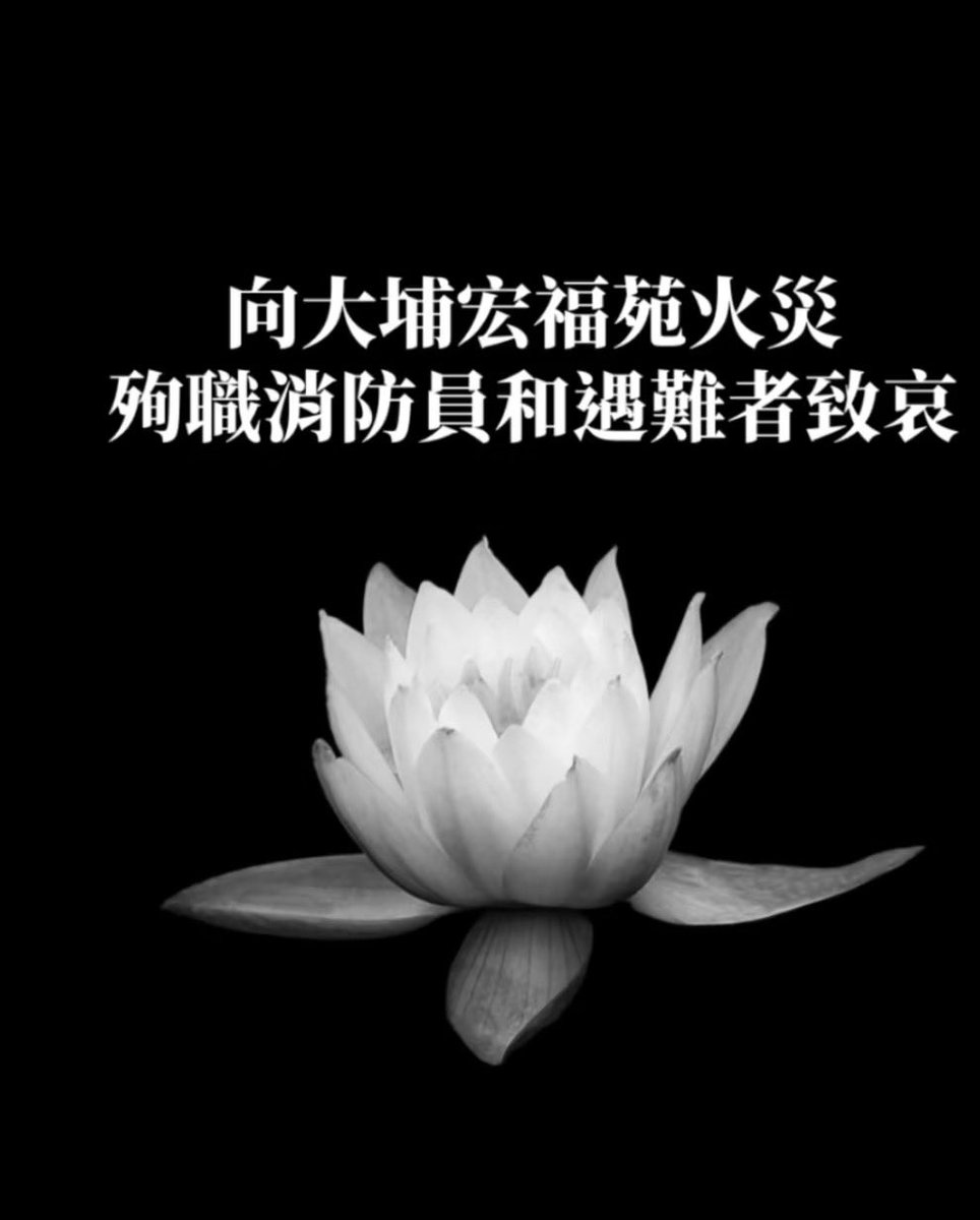 jiangjiang_hao's tweet photo. 愿天堂无忧 https://t.co/SxdfaNaepC