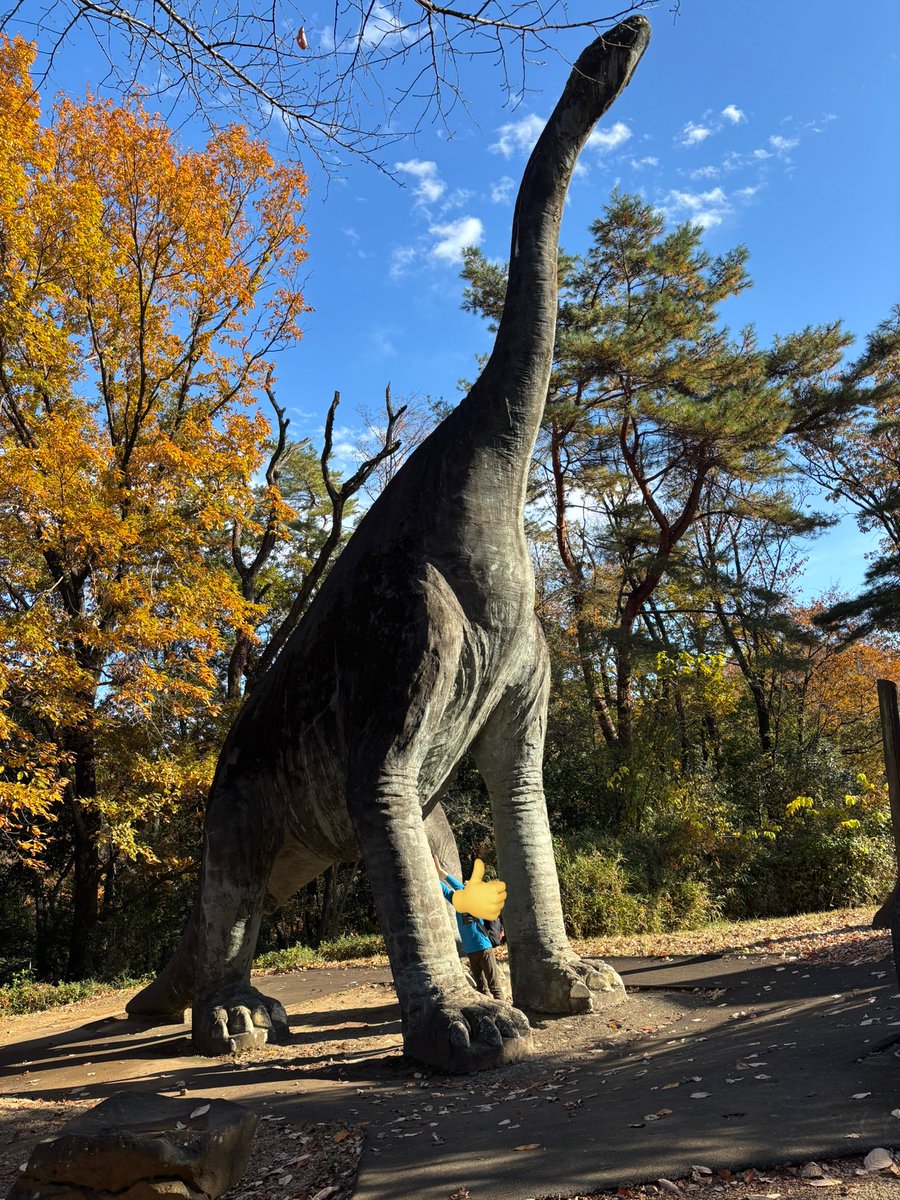 どらみぃ (@miisuke1127) / Posts / X