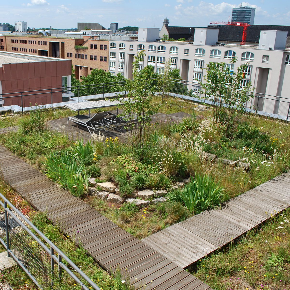 OPTIGRUN GREENROOFS tweet media