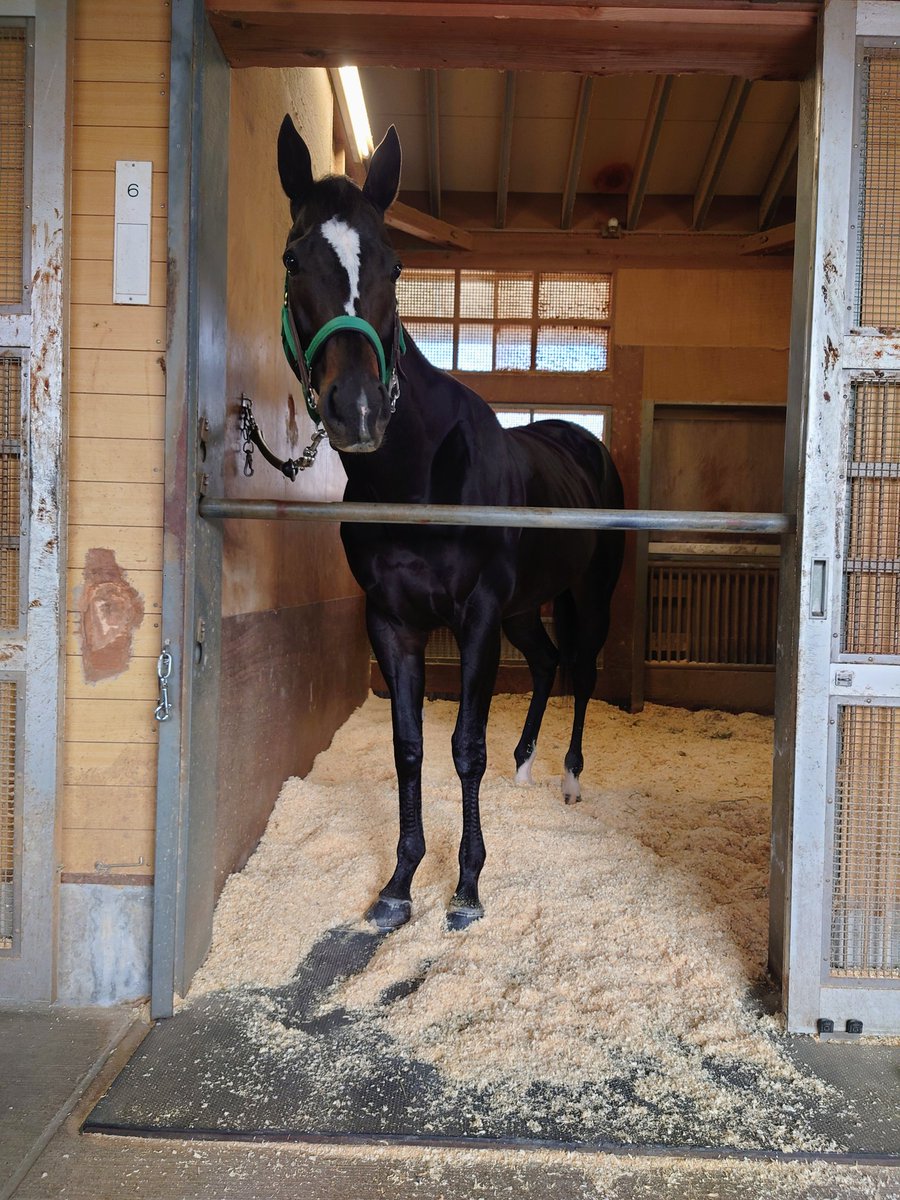 ジャルジェ (@Jarjayes117) / Posts / X