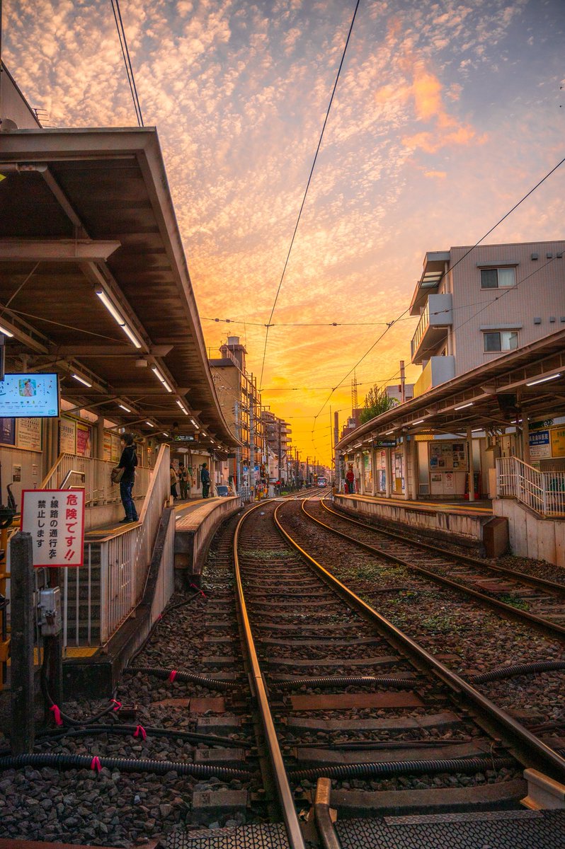 Shun Sakamoto tweet media