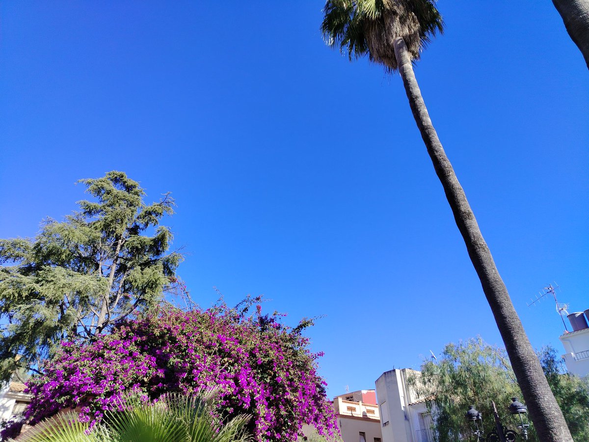 Desaparecida.. Però de vuelta 🤕🤧.Temp 9°.minima baix - 3🥶 <a href="/apuntoratge/">À Punt Oratge</a> <a href="/Valencia_WX/">ValènciaWeather⚡️</a> <a href="/meteo_cs/">MeteoCastellón</a> <a href="/Meteo_Borriana/">Meteo Borriana</a> <a href="/MeteoMorella/">Juan Amela</a> <a href="/minervagra/">Minerva GG</a> <a href="/moles_gerard/">Gerard Molés</a> <a href="/ortiz_pat/">Patricio Ortiz (Pat)</a> <a href="/oratgenet/">Oratgenet Jordi Payà</a> <a href="/jcfortea/">Joan Carles Fortea</a> <a href="/tiempobrasero/">Tutiempo</a> <a href="/Tiempo_Valencia/">☈⚡TiempoValència☔❄</a> <a href="/lasextameteo/">La Sexta Meteo</a>