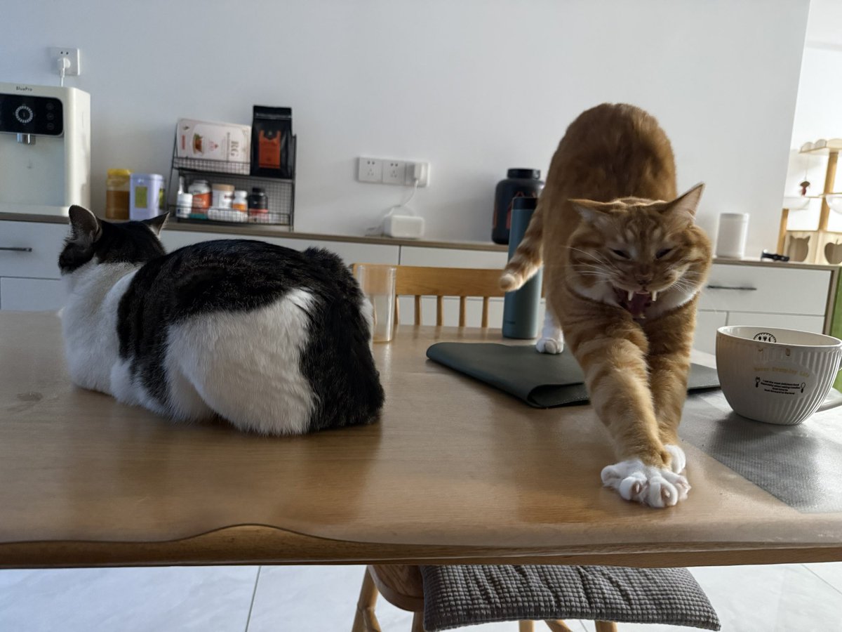 BadDogEgg's tweet image. 