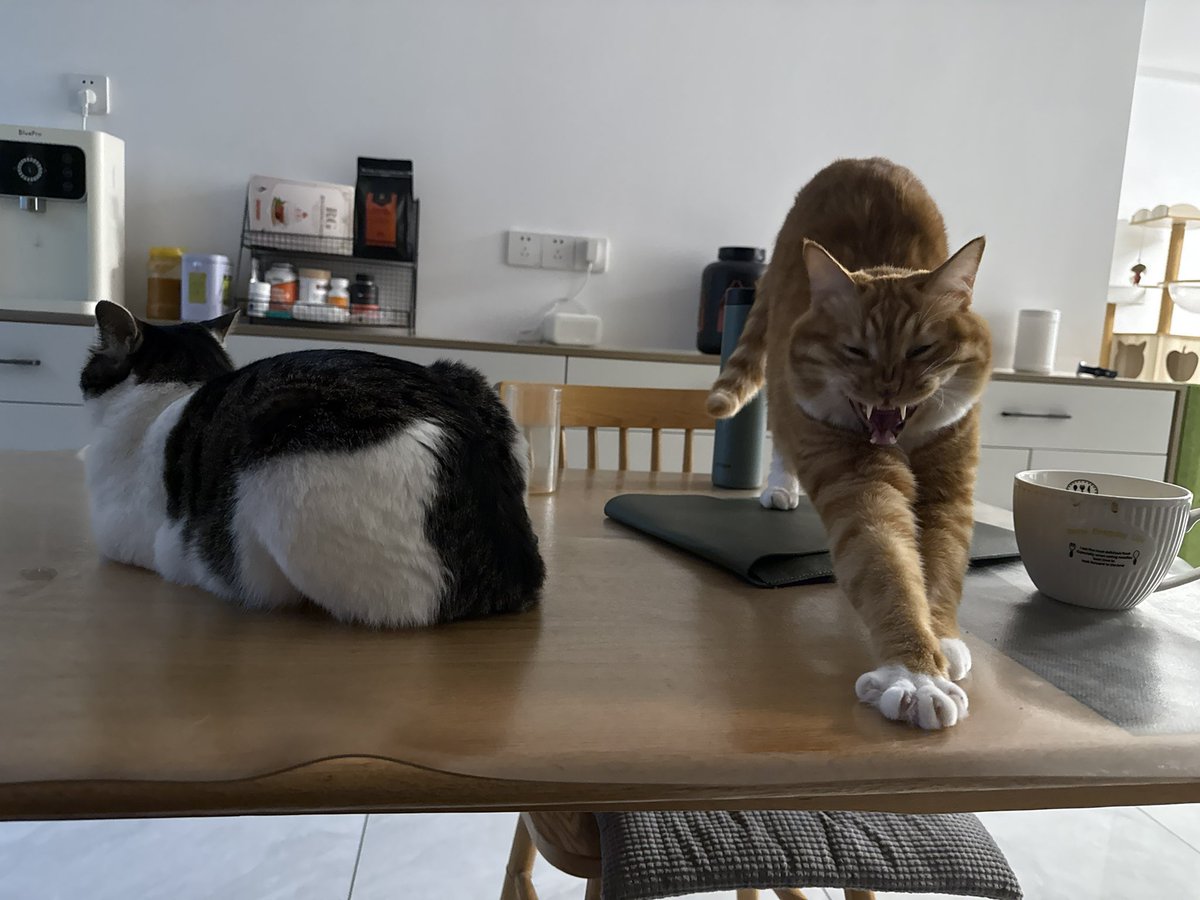 BadDogEgg's tweet image. 