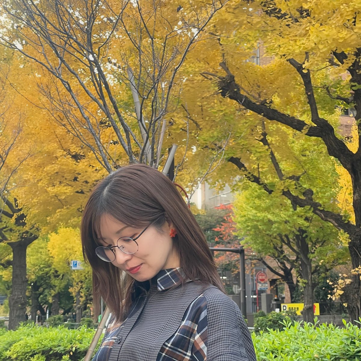 宮崎奈穂子 / Acoustic1・2 Blu-Ray/DVD | 宮崎奈穂子 WEBSHOP