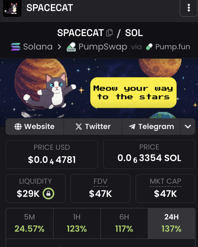 Spacecat CTO tweet media