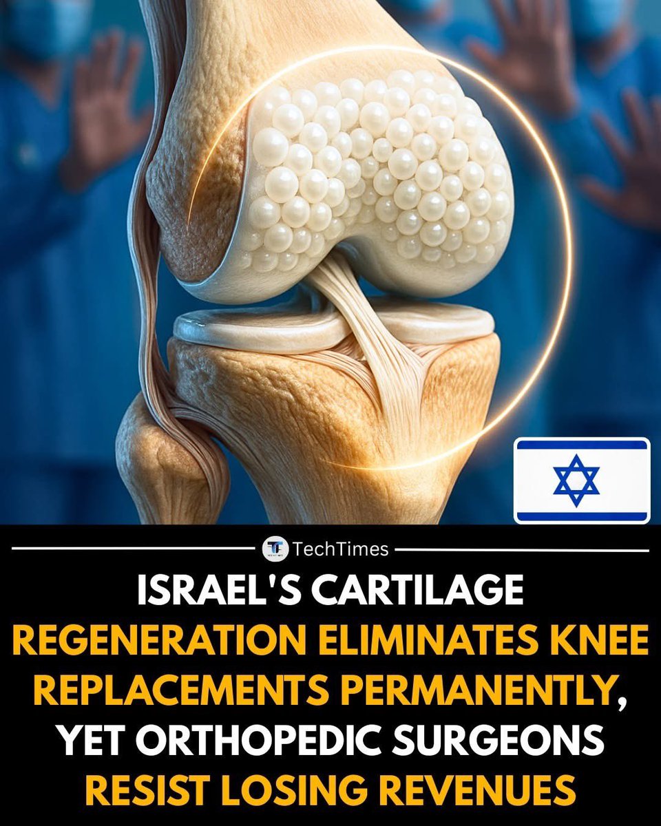 sabra_the's tweet image. 🇮🇱Israeli researchers have developed a breakthrough cartilage regeneration therapy that could eliminate the need for knee replacements altogether, offering millions of people a chance to restore joint function without major surgery. 

The treatment uses advanced biomaterials and…