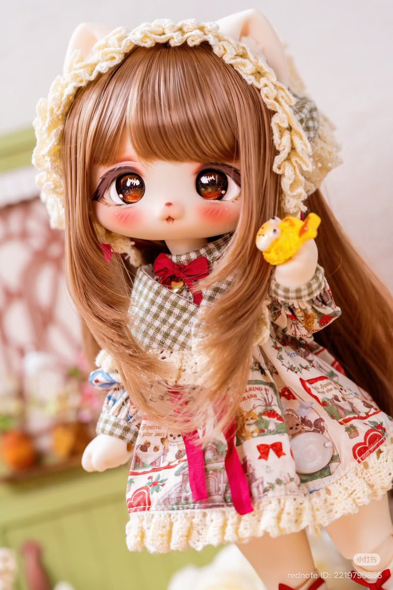 Note_BJD's tweet image. ⚡️ 喵喵岛
✅ 蛋蛋 ( DanDan / 단단 )
➡️ 1/6
⏰ 2025.11.30. 21:30 (KST) ~ 12.30.
⏳ 90일 소요
1️⃣ 머리둘레 23cm
2️⃣ 목둘레 5.8cm
3️⃣ 안구 20~22mm
📢 2회차 주문