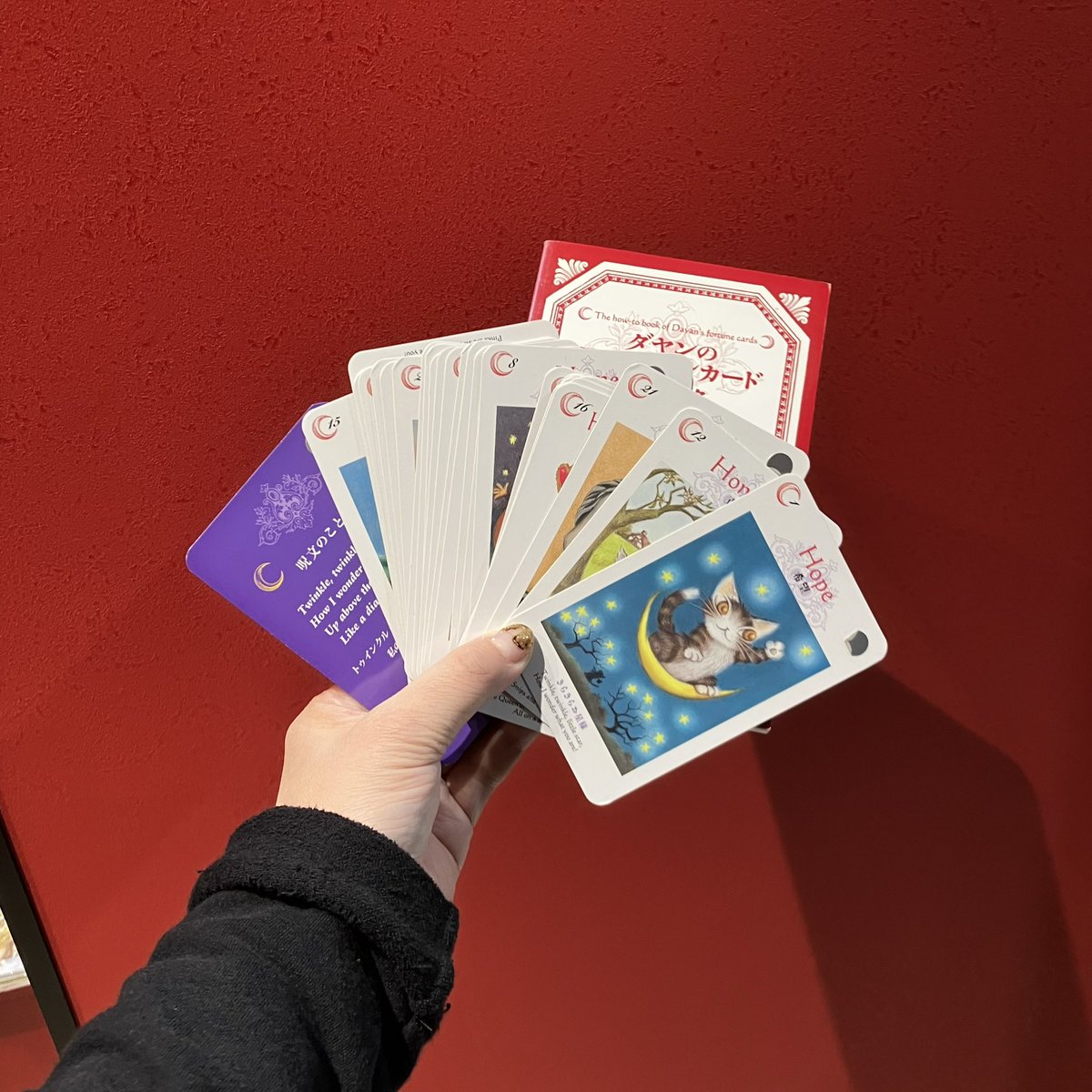 ♬未使用♬わちふぃーるど♬ダヤン♬版画♬限定250部♬ぼくうちへ帰ろう！サイン♬ 未使用 わちふぃーるど ダヤン 版画 限定250部 ぼくうちへ帰ろう