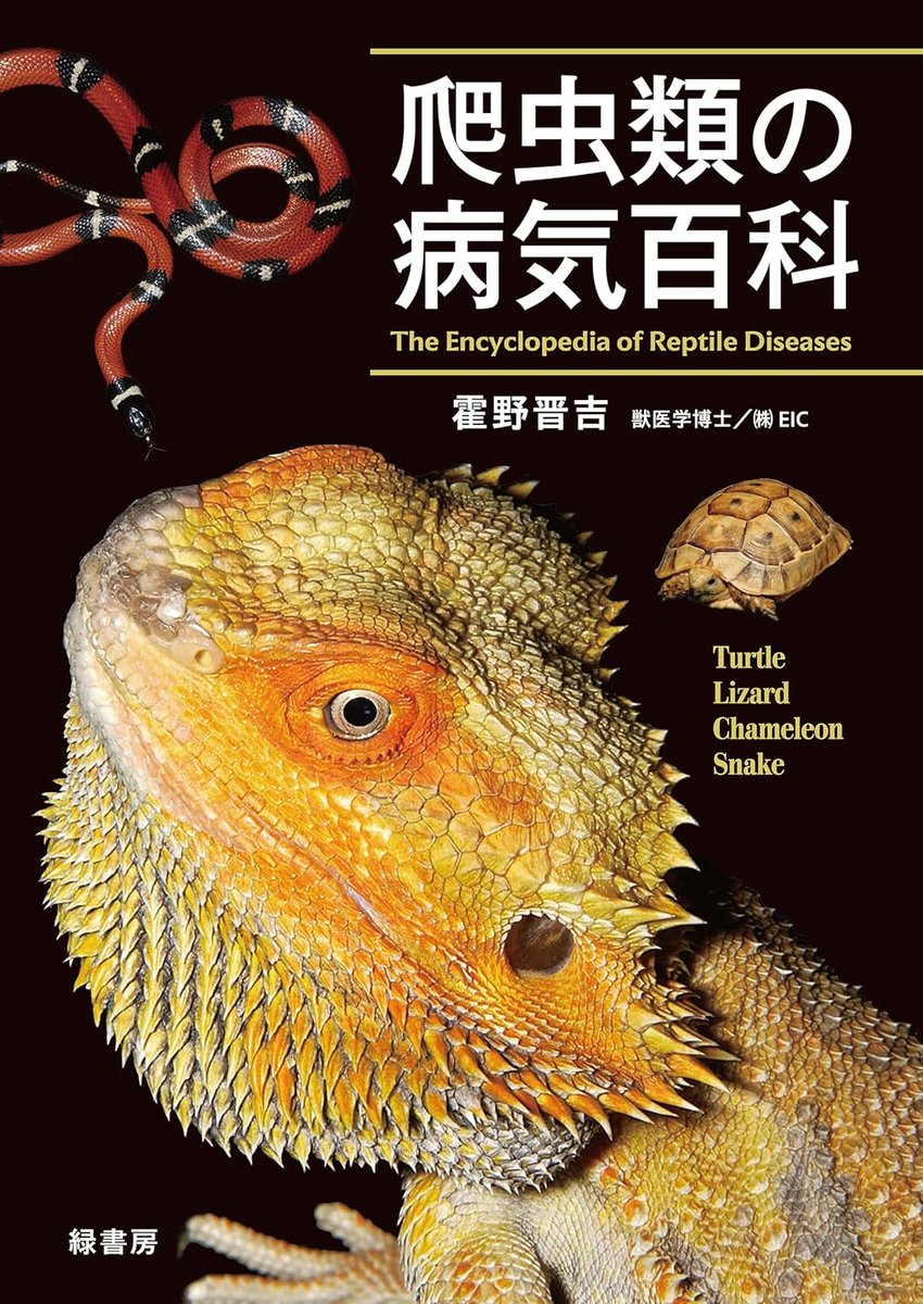 【爬虫類の内科と外科】【亀の内科と外科】エキゾチックアニマル　臨床　診療　獣医 爬虫類の内科と外科】【亀の内科と外科】エキゾチックアニマル 臨床