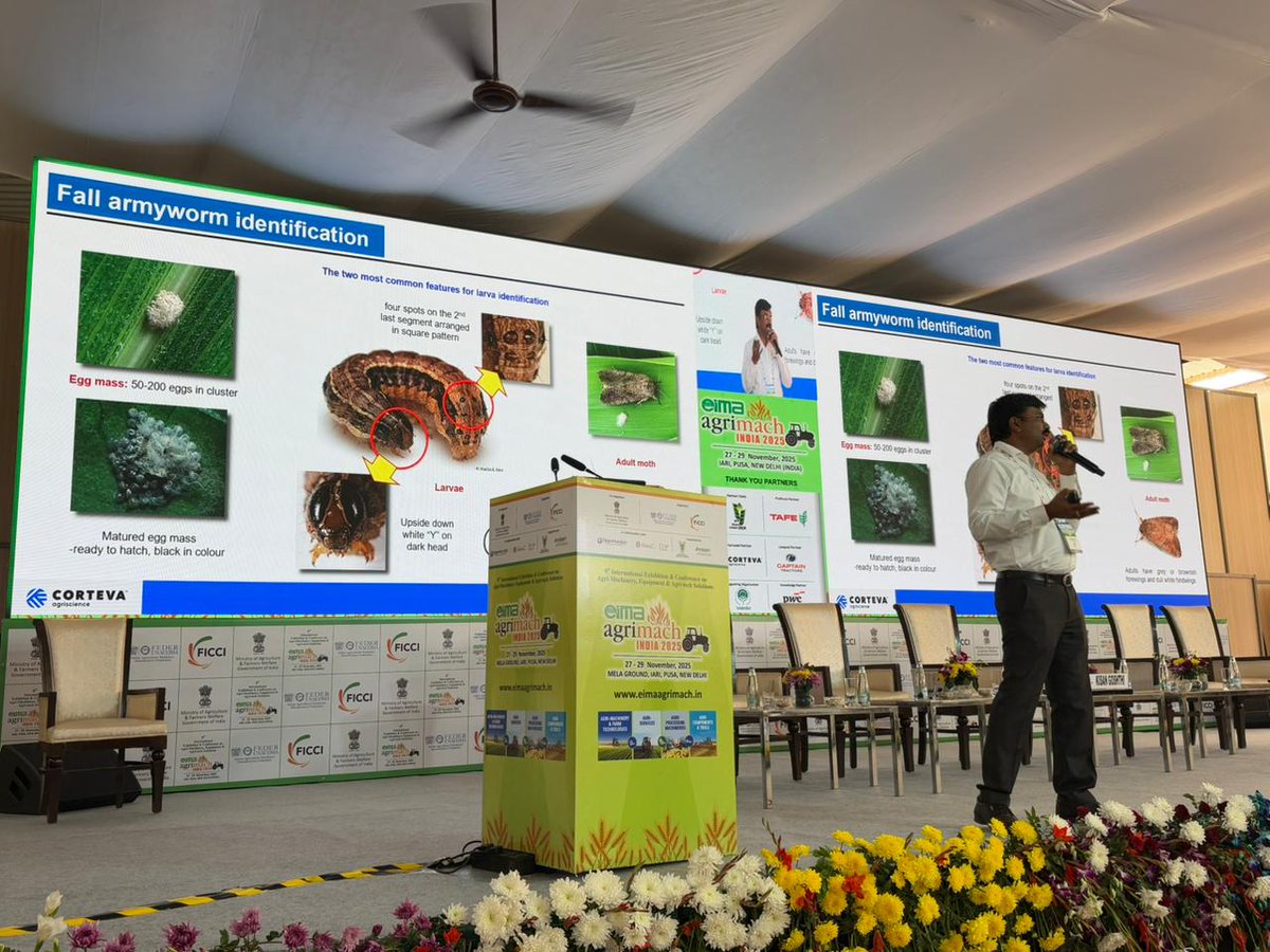 Eima_Agrimach's tweet photo. Fall armyworm (FAW) can devastate maize crops! 🌽

Look out for these injury symptoms:

🐛 Seedling cutting
🐛 Tassel feeding
🐛 Ear damage leading to yield loss

A session by Dr. Basweshwar Ghodki, Field Scientist at Corteva Agriscience at #EIMAAgrimach2025 https://t.co/V9pTH3Pu8y