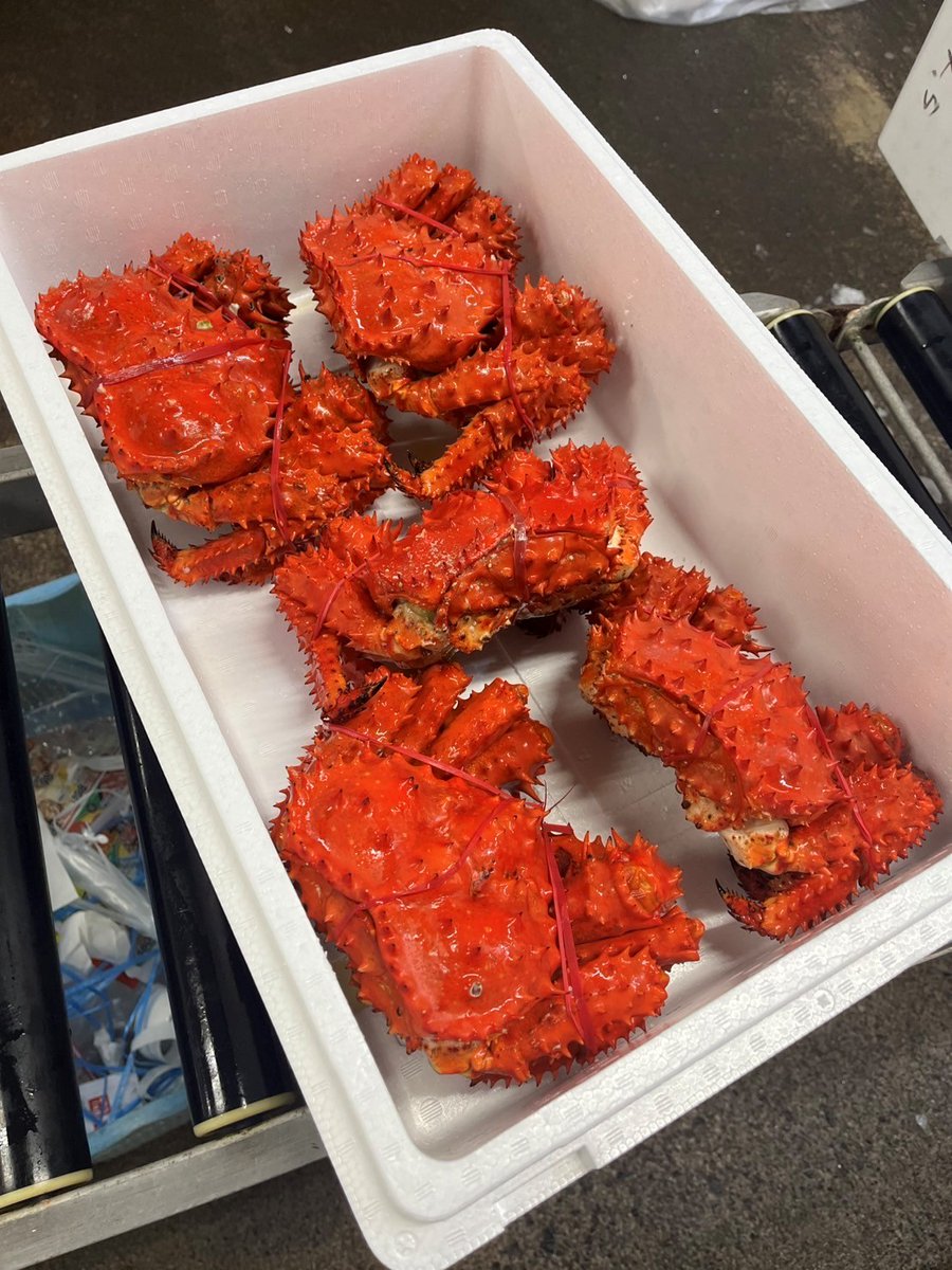 ZX－GR (@ZXGR9) / Posts and Replies / X