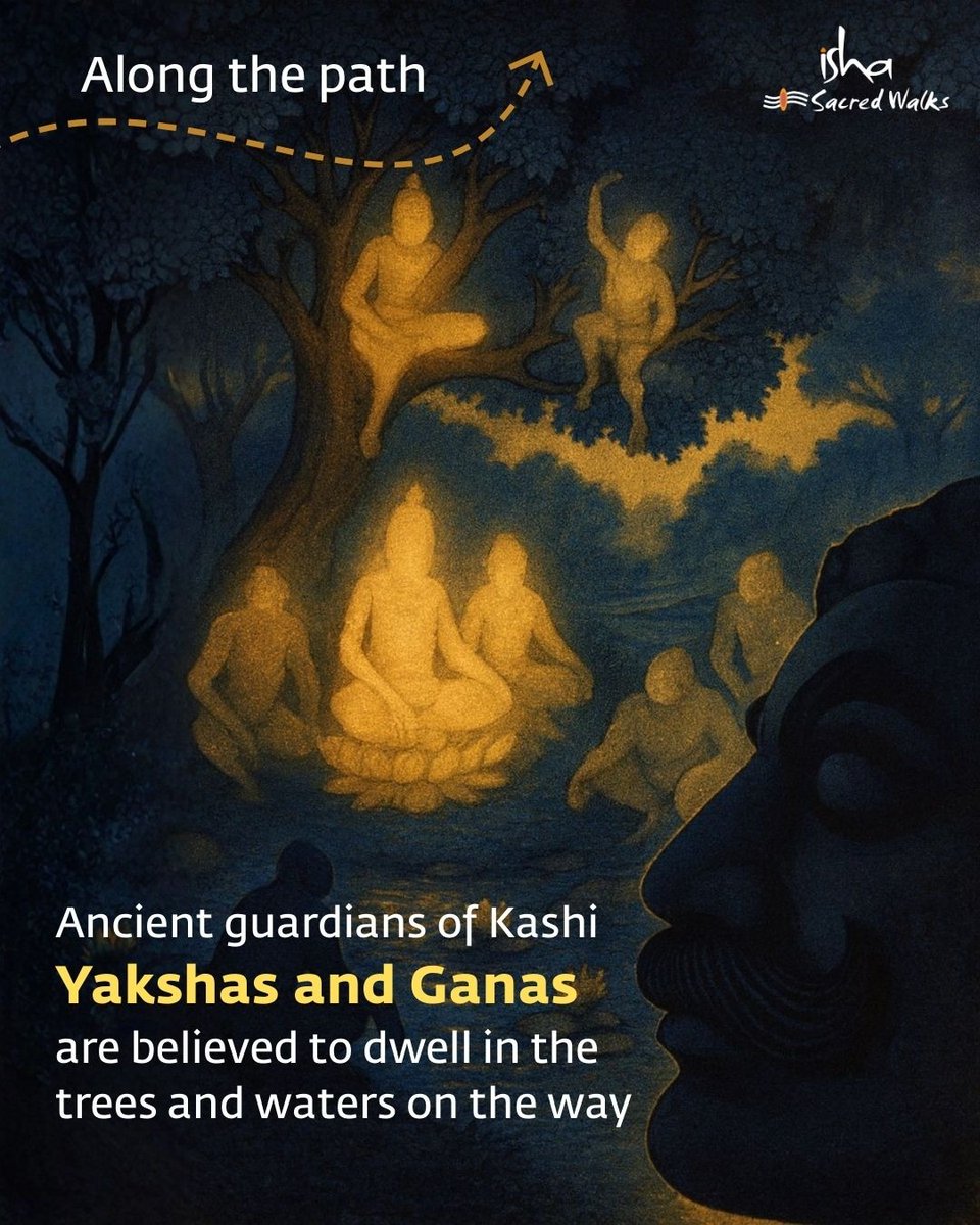 IshaSacredWalks's tweet image. The Panchakroshi pilgrimage traces 108 shrines along the sacred Kashi Mandala — a reminder that Kashi is a living presence.

Kashi Krama with Isha Sacred Walks is an opportunity to experience this ancient city in its full depth and glory. 

Stay tuned for the upcoming sojourn!