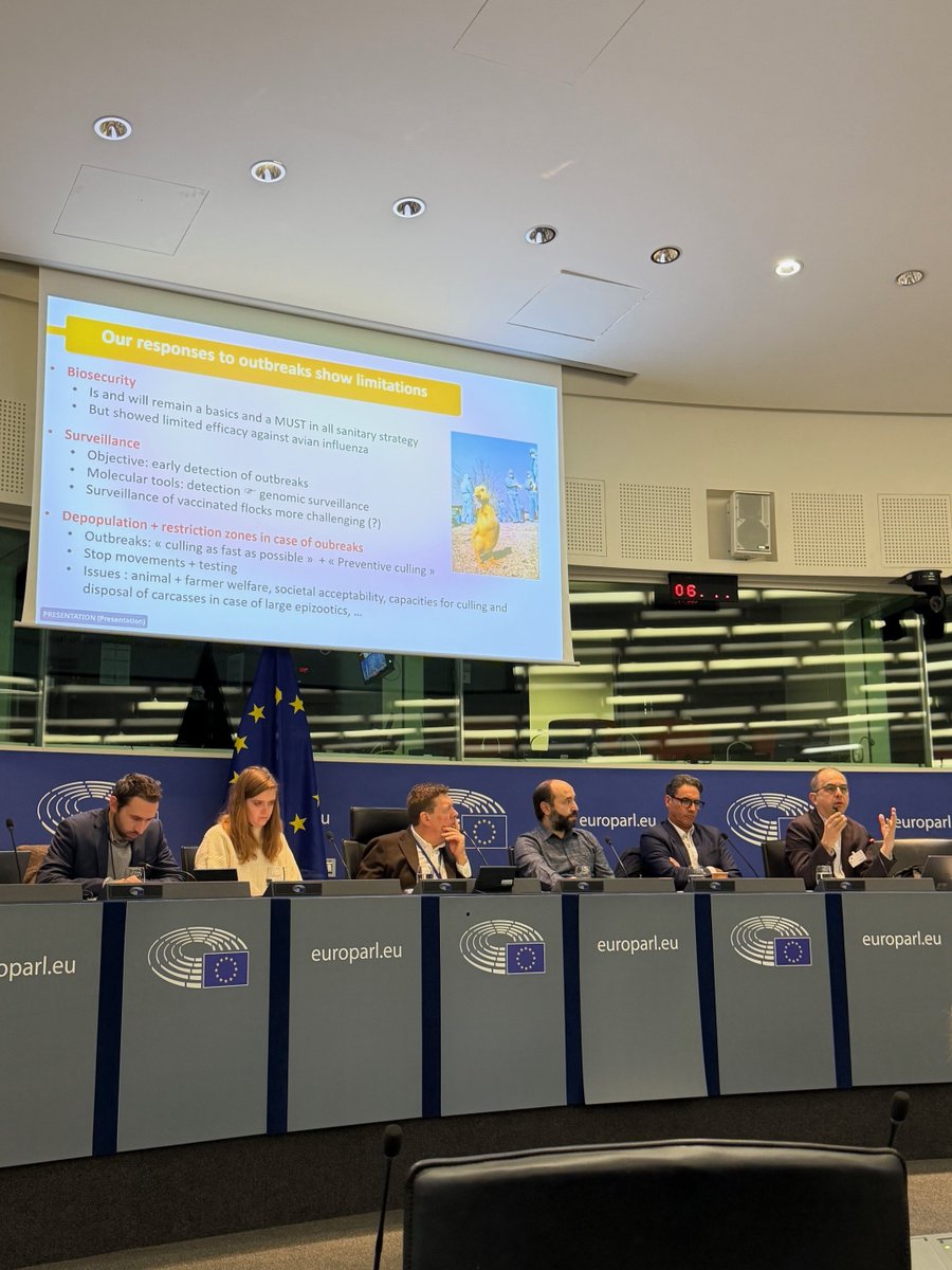 LivestockVoice's tweet image. Jean-Luc Guérin from @INRAE_Intl takes #HPAI as an example for #Vaccination as a control measure:
&quot;Responses for HPAI show limitations, we need to remove the taboo around vaccination. Major advances in vaccine &amp;amp; diagnostics technologies leave no room for trade barriers.&quot;