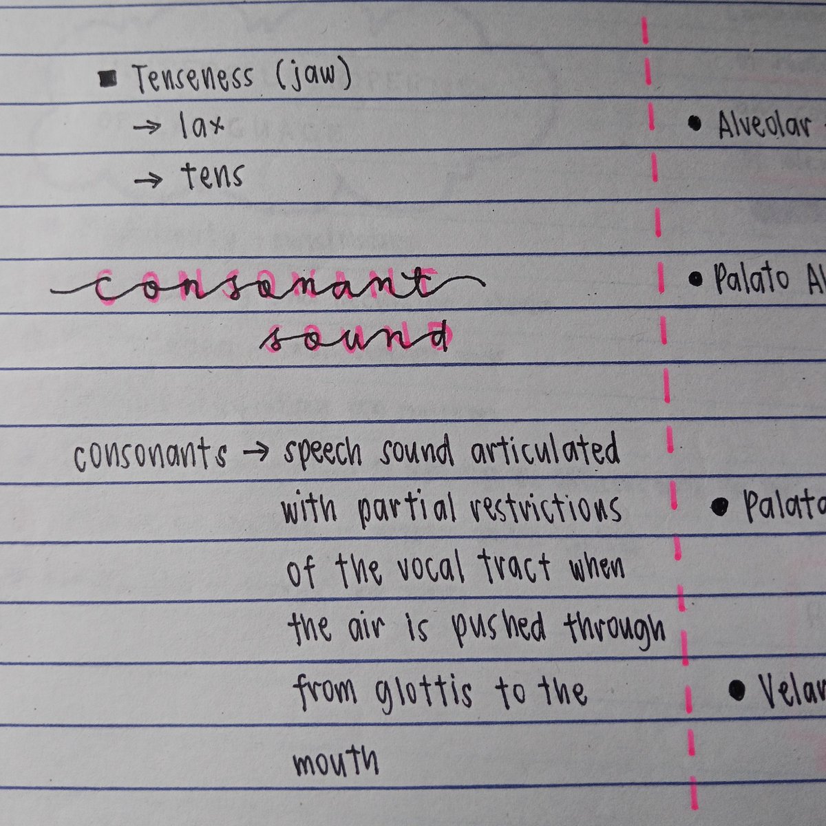 archr_shaun's tweet image. i was able to look back at my notes because i am reviewing for the mock board exam, and this is how I take my note 😭🖐🏻