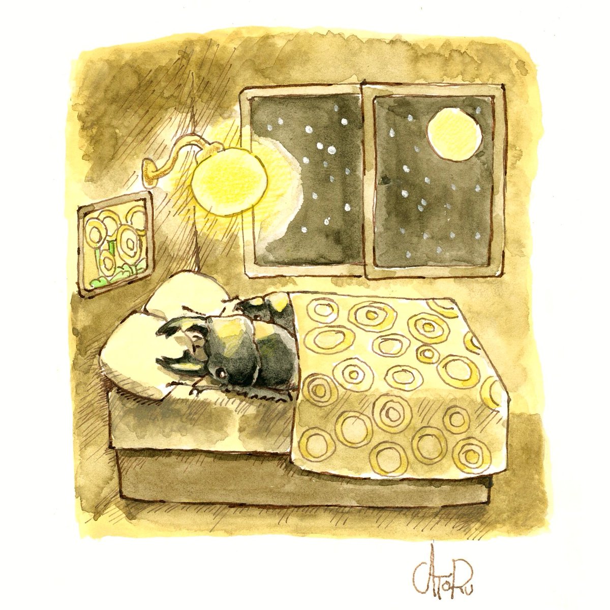 Don't let the bed bugs bite!