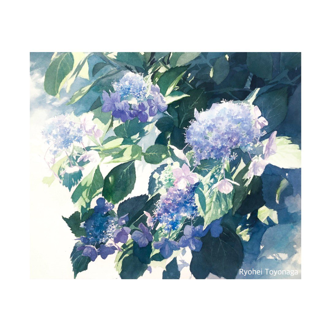 豊永 凌平｜Toyonaga Ryohei (@tr_watercolor) on Twitter photo 