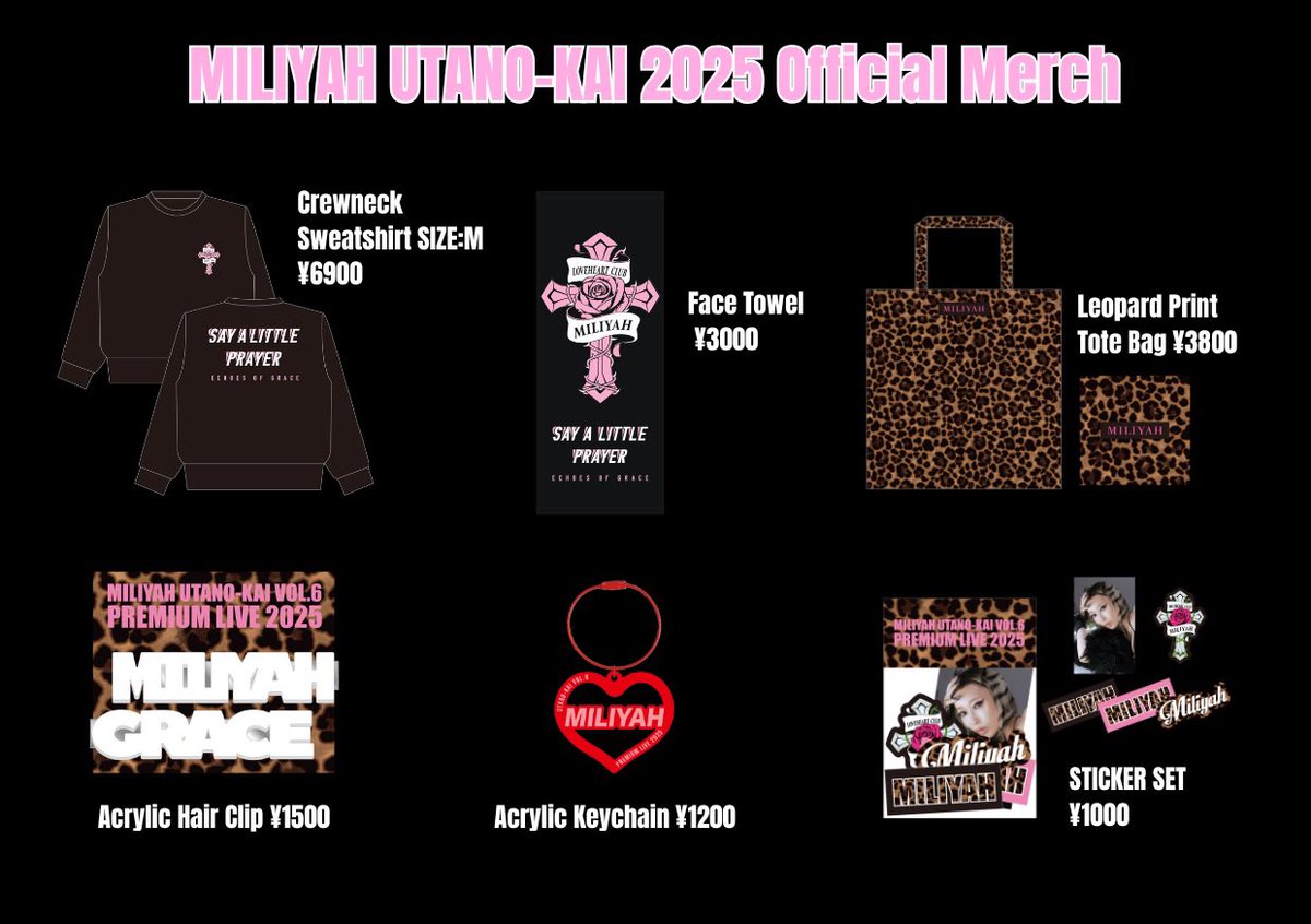 限界グッズ まとめ売り 2025 LEE HONGGI Special Fanmeeting in Japan – HONGS FOR A DAY