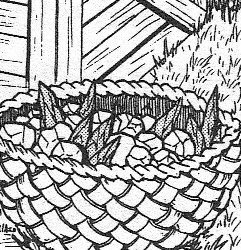 로이머스탱같다