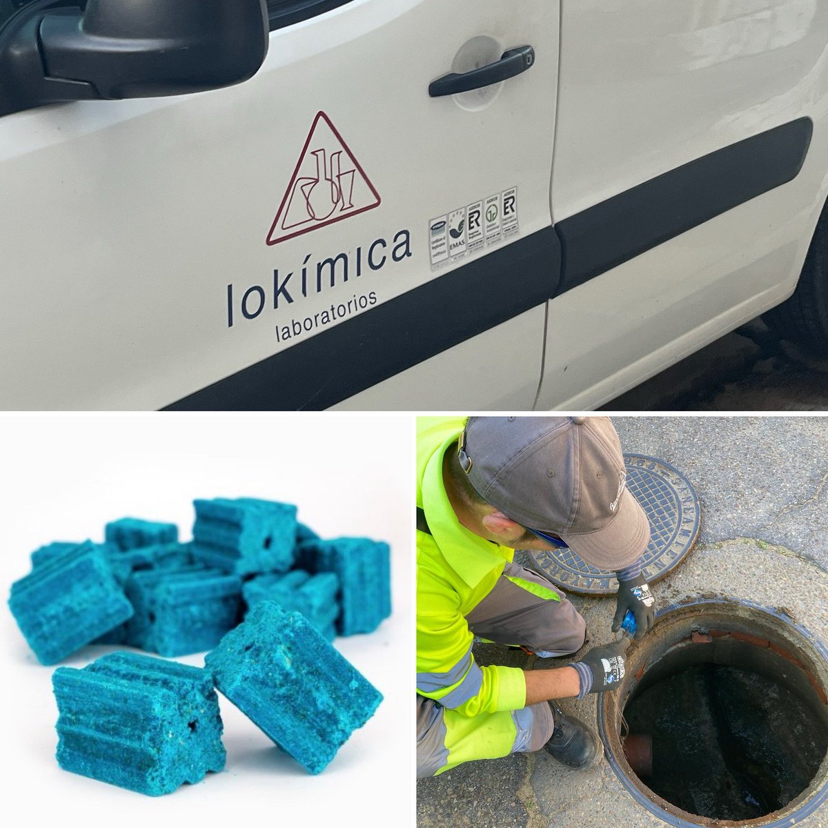 Durante esta semana se ha llevado a cabo una nueva campaña de desratización en todo el municipio.
En algunas zonas donde la presencia de roedores era mayor, se ha reforzado la aplicación del veneno. Con estas actuaciones esperamos eliminar este tipo de plagas y evitarlas.