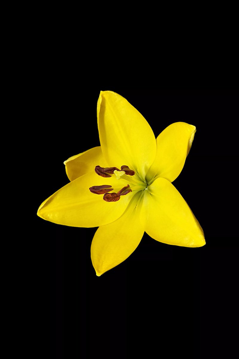 tahera970700's tweet image. #Motoalawallpapers, iPhone wallpapers, wallpaper,#iOS18, Aesthetic Wallpaper, iPhone 16, iPhone 16Pro, Lock screen #photographer