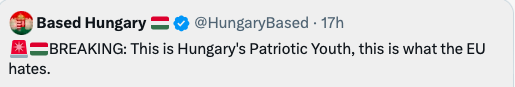 UdbiEtOrbi's tweet photo. @HungaryBased #HungaryBased nazis in the poorest country in EU. So sad. And #RadioGenoa another nazi troll account. https://t.co/YafVSKdtlQ
