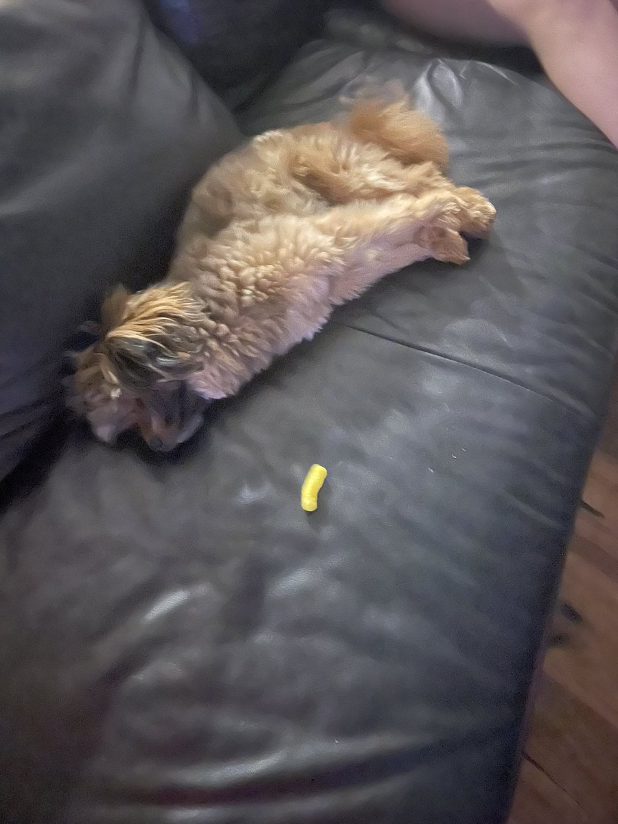 What do you call this 🤣🤣🤣 #teddy