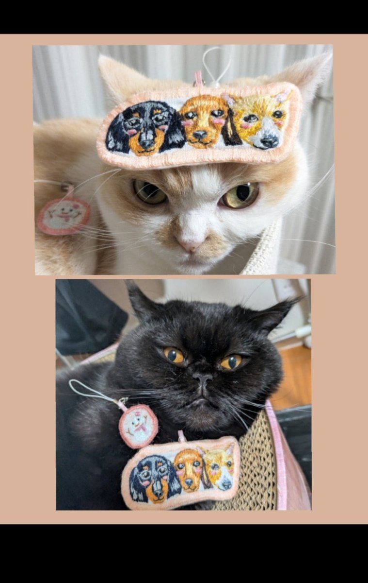 初めてのワンちゃんの刺繍を作ってみました😀 オーダー下さり、とても