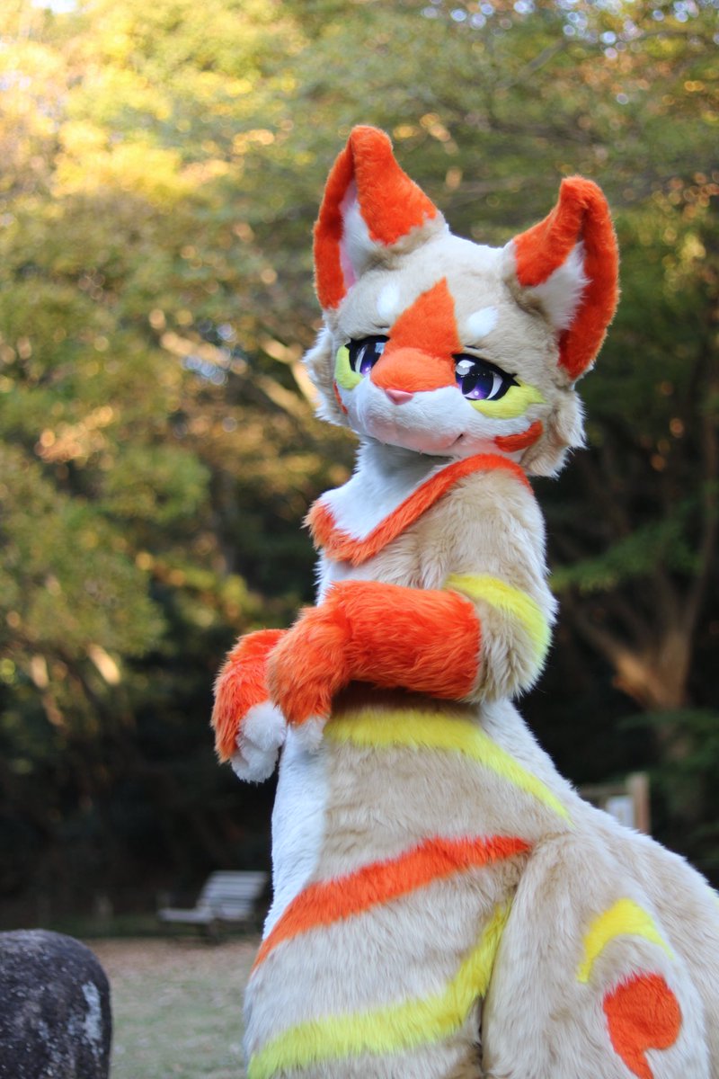 Post by ろーが on X: 自然と狐