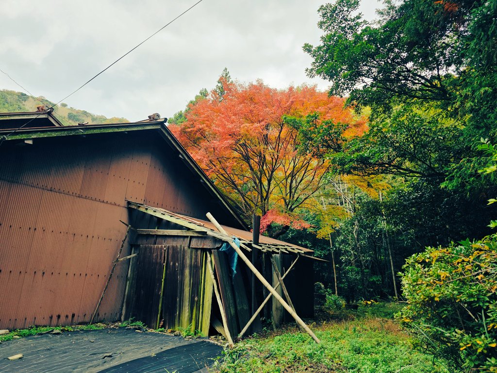 瓦屋根を紅葉させる麗しの廃墟🍁